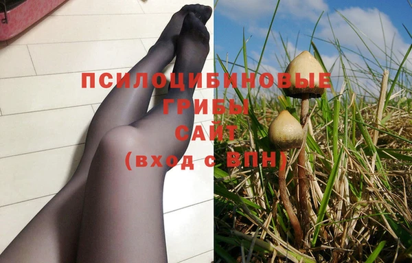 гидропоника Дмитров