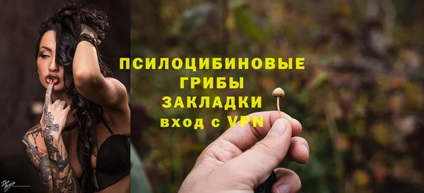 apvp Дмитриев