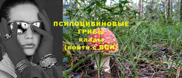 гидропоника Дмитров