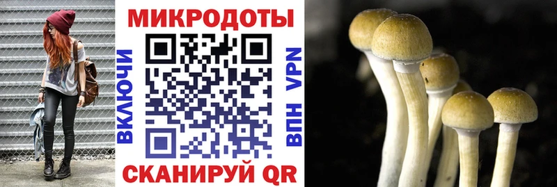 Галлюциногенные грибы мухоморы мега ТОР Нея